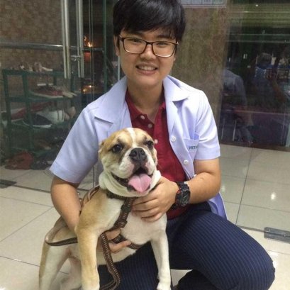 บี้เกิ้ลท้องโย้แต่คลอดไม่ออก คุณหมอช่วยด้วยข้อมูลสัตว์ป่วย “คิตตี้”เป็นแม่แมวร่างน้อย สายพันธุ์ British Shorthair เพศเมีย อายุ 1 ปี เข้ารับการรักษาที่โรงพยาบาลสัตว์ไอเว็ทด้วยอาการคลอดลำบาก โดยเจ้าของสังเกตพบว่าภายหลังจากน้องคิตตี้มีน้ำคร่ำไหลออกทางอวัยวะเ